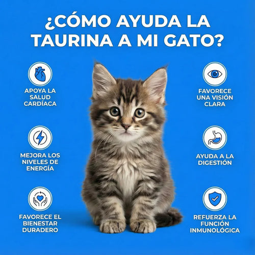 PureTaurine+ - Suplemento Nº 1 Recomendado Por Veterinarios