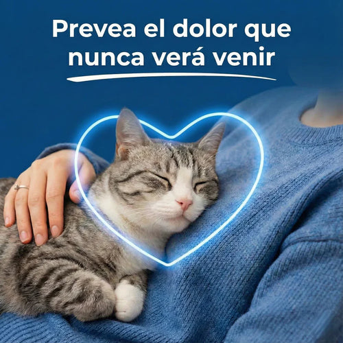 PureTaurine+ - Suplemento Nº 1 Recomendado Por Veterinarios
