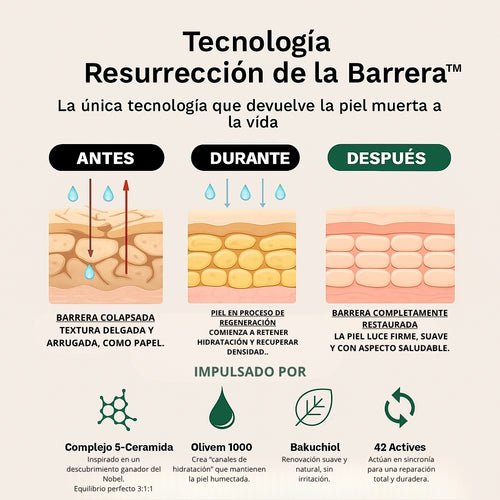 Tratamiento Reparador De Piel