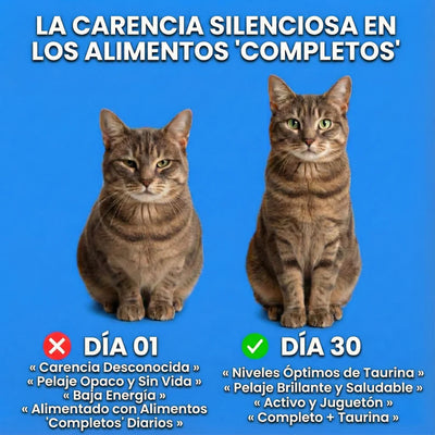 PureTaurine+ - Suplemento Nº 1 Recomendado Por Veterinarios